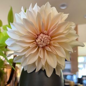 Meet your Posher, Katherine